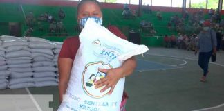 nicaragua, moyogalpa, produccion, agricultura,