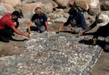 Hallan en Turquía «el antepasado» de los mosaicos mediterráneos Hallan en Turquía "el antepasado" de los mosaicos mediterráneos