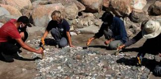 Hallan en Turquía "el antepasado" de los mosaicos mediterráneos