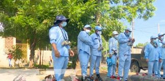 Brigadistas del sistema estatal de salud eliminan criaderos del mosquito
