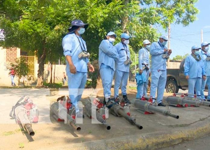 Brigadistas del sistema estatal de salud eliminan criaderos del mosquito