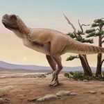 Paleontólogos encuentran nueva especie de dinosaurio carnívoro en Brasil Paleontólogos encuentran nueva especie de dinosaurio carnívoro en Brasil