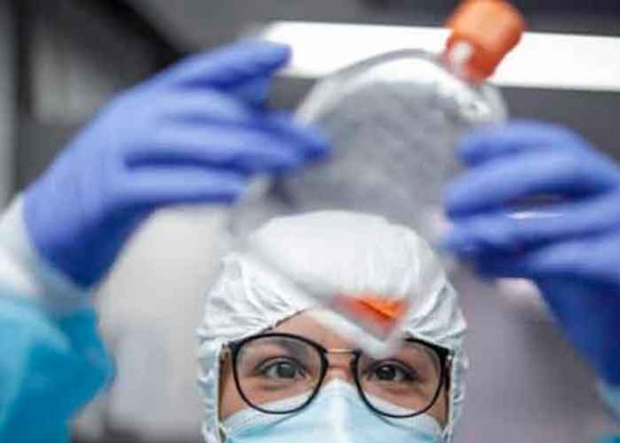 3.3 OMS vigila la nueva variante del COVID-19