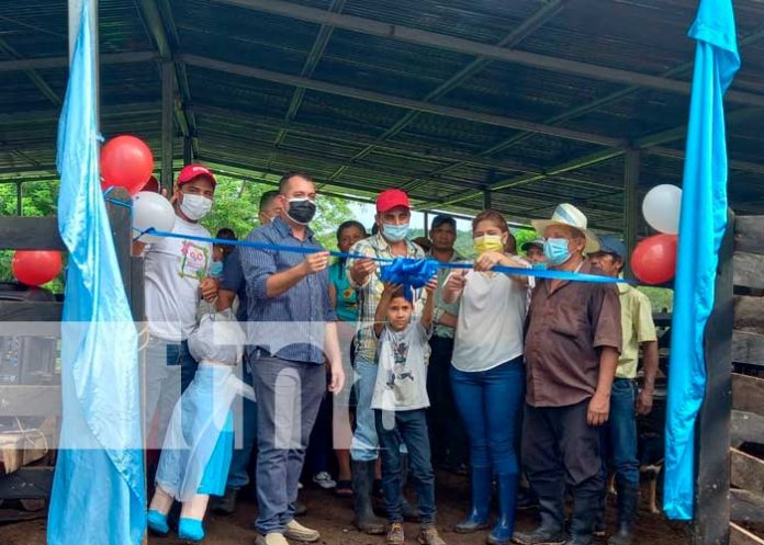 nicaragua, rio san juan, ganaderia, produccion,