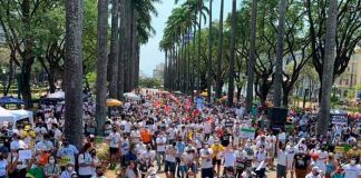 Brasil: Grupos de derecha protestan contra Jair Bolsonaro