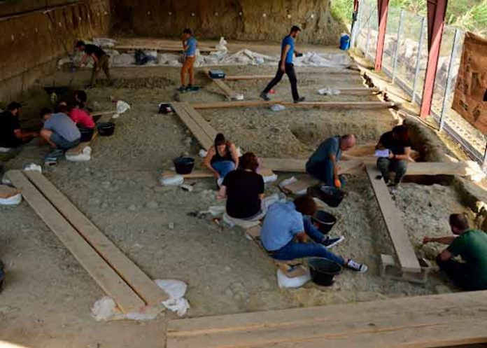 Descubren costillas de mamut de hace un millón de años en Cataluña