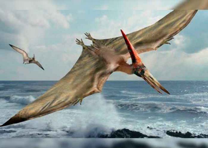 Científicos chilenos hallan fósil de dragón volador prehistórico