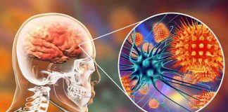 La Organización Mundial de la Salud quiere acabar con la meningitis para 2030