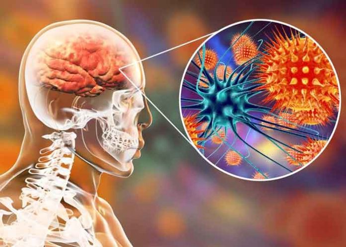 La Organización Mundial de la Salud quiere acabar con la meningitis para 2030