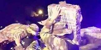 Policía de Argentina decomisa más de cuatro toneladas de marihuana