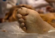 Vive con el cadáver de la abuela por cobrar pensión