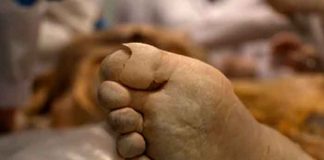 Vive con el cadáver de la abuela por cobrar pensión