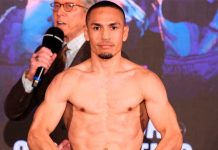 “Gallo” Estrada habría llegado a un acuerdo por cifra récord boxeo, gallo, estrada, peleador