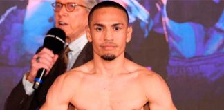 boxeo, gallo, estrada, peleador