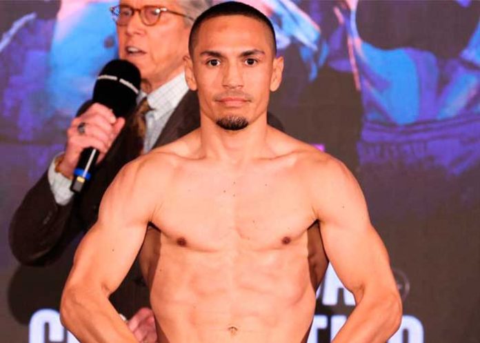 boxeo, gallo, estrada, peleador