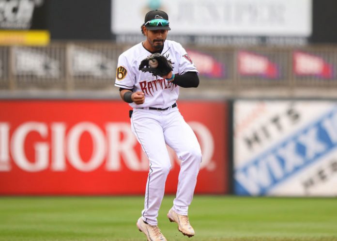 freddy, zamora, ligas, menores, milb,