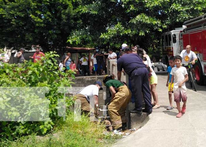 Foto: Rescate de un anciano que cayó a un cauce de Managua / TN8
