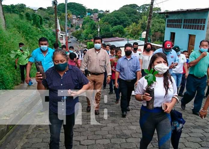 Campaña Nacional de Reforestación lleva como lema “Madroño, Orgullo de mi País, con Patria en el Corazón”