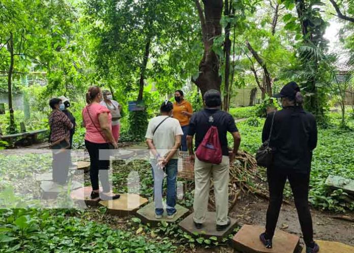 arboretum-managua-01 Visita al Arboretum de Managua con adultos mayores