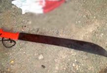 Aberrante crimen: Nieto mató a machetazos a su abuela de 65 años Aberrante crimen: Nieto mató a machetazos a su abuela de 65 años