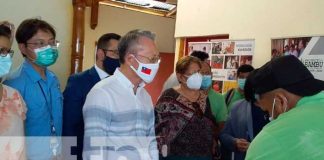 Lanzan nuevo curso de industrialización del bambú en Nicaragua