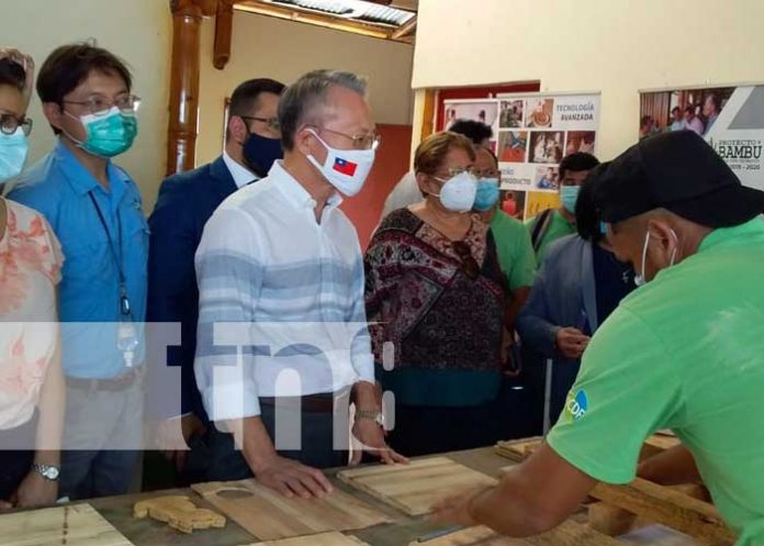 Lanzan nuevo curso de industrialización del bambú en Nicaragua