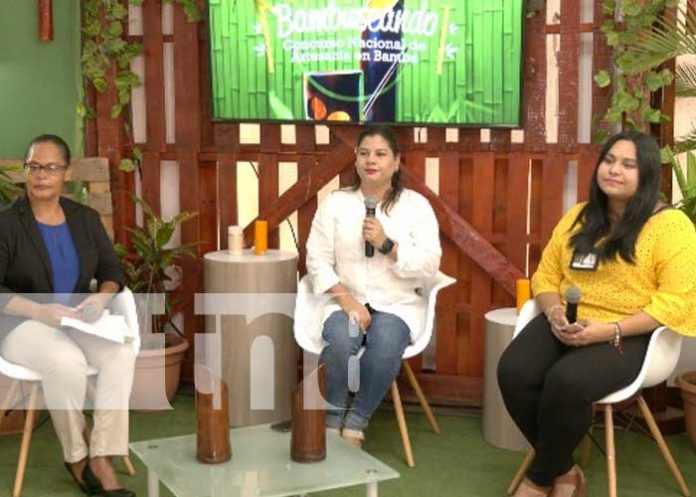 Conferencia del MEFCCA sobre diseño e innovación con el bambú