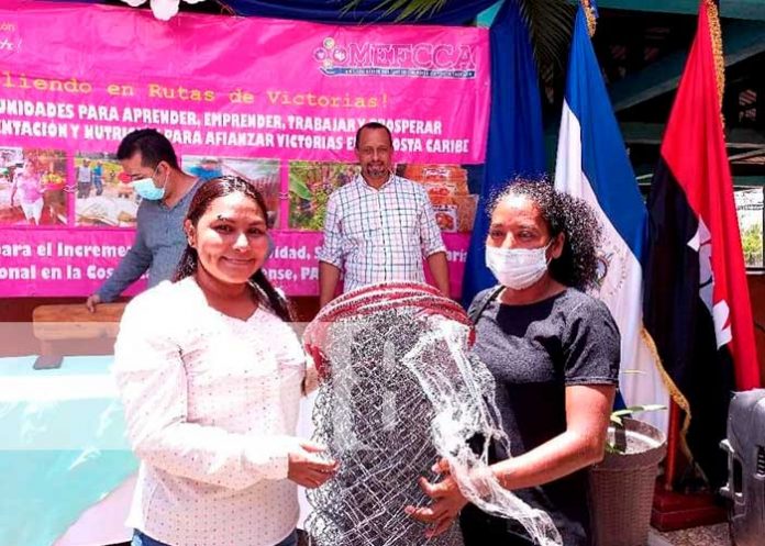 Familias reciben Bono tecnológico en la ciudad de Bilwi