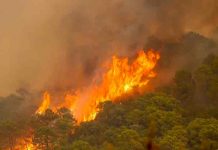 Un bombero muerto y 800 evacuados por incendio en sur de España