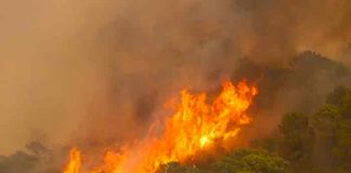 Un bombero muerto y 800 evacuados por incendio en sur de España