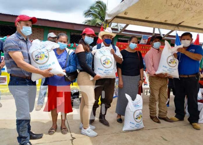 Entrega de bonos para producción de frijol en Jinotega