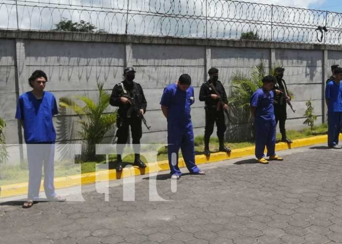 Cae banda delincuencial 