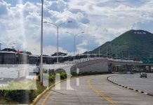 Flota de nuevos buses rusos que se suman al transporte urbano colectivo de Managua