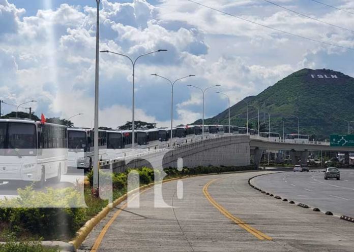 Flota de nuevos buses rusos que se suman al transporte urbano colectivo de Managua