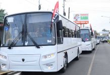 Flota de nuevos buses rusos para el transporte de Managua