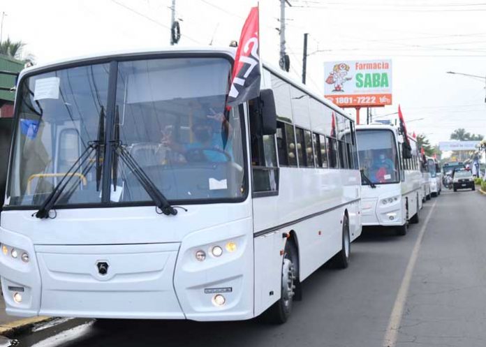 Flota de nuevos buses rusos para el transporte de Managua