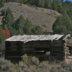 Finge ser cirujano y opera a un hombre para comerse sus partes íntimas