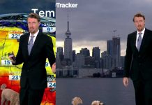 Un perro interrumpe a su dueño en noticiero en vivo (VIDEO) Un perro interrumpe a su dueño en noticiero en vivo