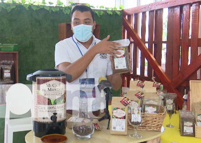 cafe-1 Convocan en Nicaragua al tercer concurso de agronegocios