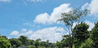 Inaugurarán carretera Sapoá-Peñas Blancas