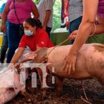 INTA entregó más de 200 cerdas a mujeres protagonistas