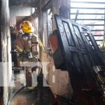 salvan a 3 gatos en voraz incendio en barrio Bóer
