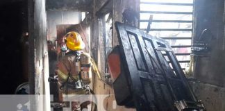 salvan a 3 gatos en voraz incendio en barrio Bóer