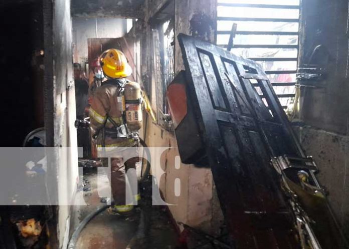 salvan a 3 gatos en voraz incendio en barrio Bóer