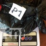 Capturan a prófugo por varios delitos en Wiwilí, Nueva Segovia Hombre de 30 años detenido por delitos de abigeato