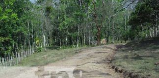 Imagen de una calle en El Ayote, donde ocurrió un fuerte asalto