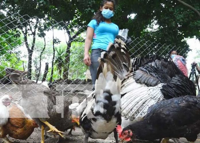 Exitosas experiencias con los programas gubernamentales en Madriz