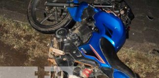 Accidente de tránsito en Jalapa por culpa de un semoviente