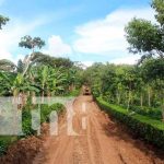 Reparan caminos rurales de cara a la temporada cafetalera en Jinotega Reparan caminos rurales de cara a la temporada cafetalera en Jinotega