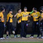 lbpn, leones, león, béisbol,